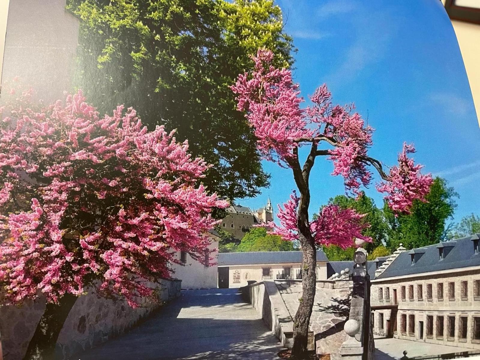 El Jardin De La Alegria Villa Zamarramala Bagian luar foto
